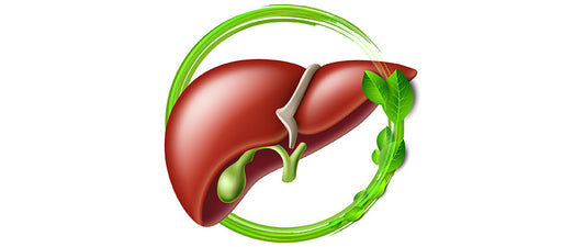 Are THC Gummies Safe For The Liver?
