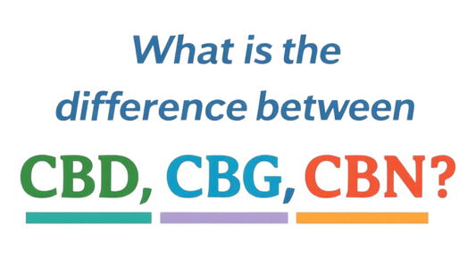 What Is The Difference Between CBD, CBG & CBN?