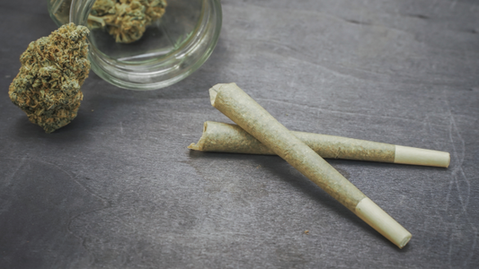 Which THCa Pre Roll Is Right for Me?