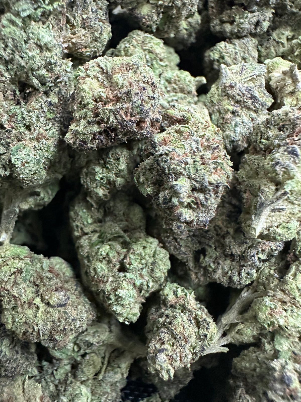 Jet Fuel Gelato Exotic THCA Flower Hybrid 10g 🟢
