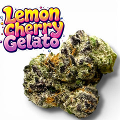 Lemon Cherry Gelato Exotic THCa Flower 10g Hybrid