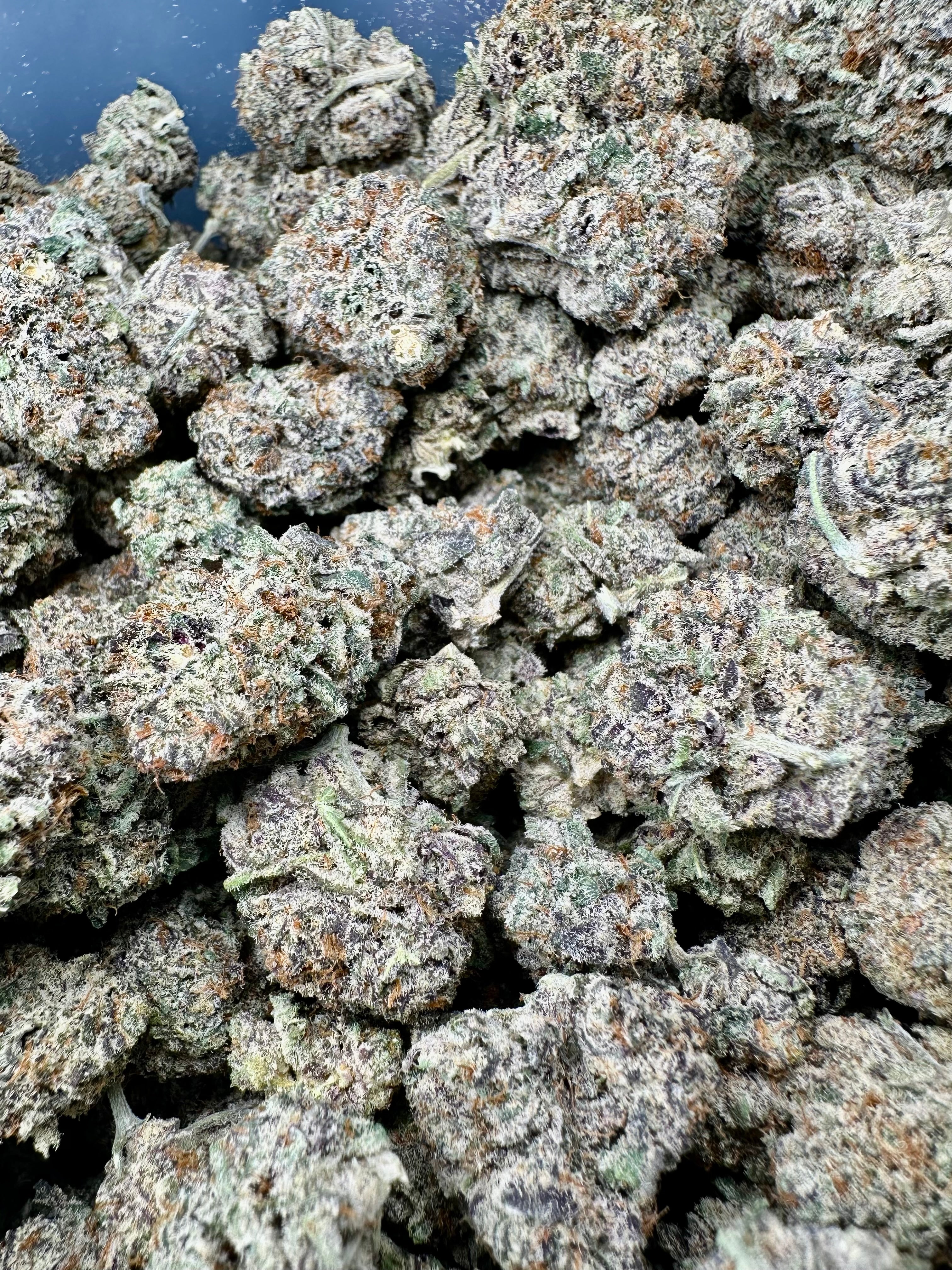 Black Truffle THCa Flower Exotic Indoor Indica Strain 10g Jar