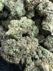 Jet Fuel Gelato Exotic THCA Flower Hybrid 10g 🟢