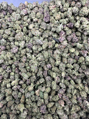 Presidential Runtz Exotic THCa Flower Hybrid Smalls 14g