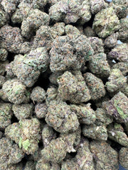 Amalfi Exotic THCa Flower Sativa 🔴 10G 4K
