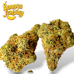 Banana Jealousy XL THCa Exotic Flower 10g 4K