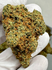 Banana Jealousy XL THCa Exotic Flower 10g 4K