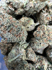 Presidental Runtz Exotic THCA Flower Hybrid 10g