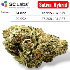 SubZero Exotic THCA Flower Sativa-Hybrid 10g