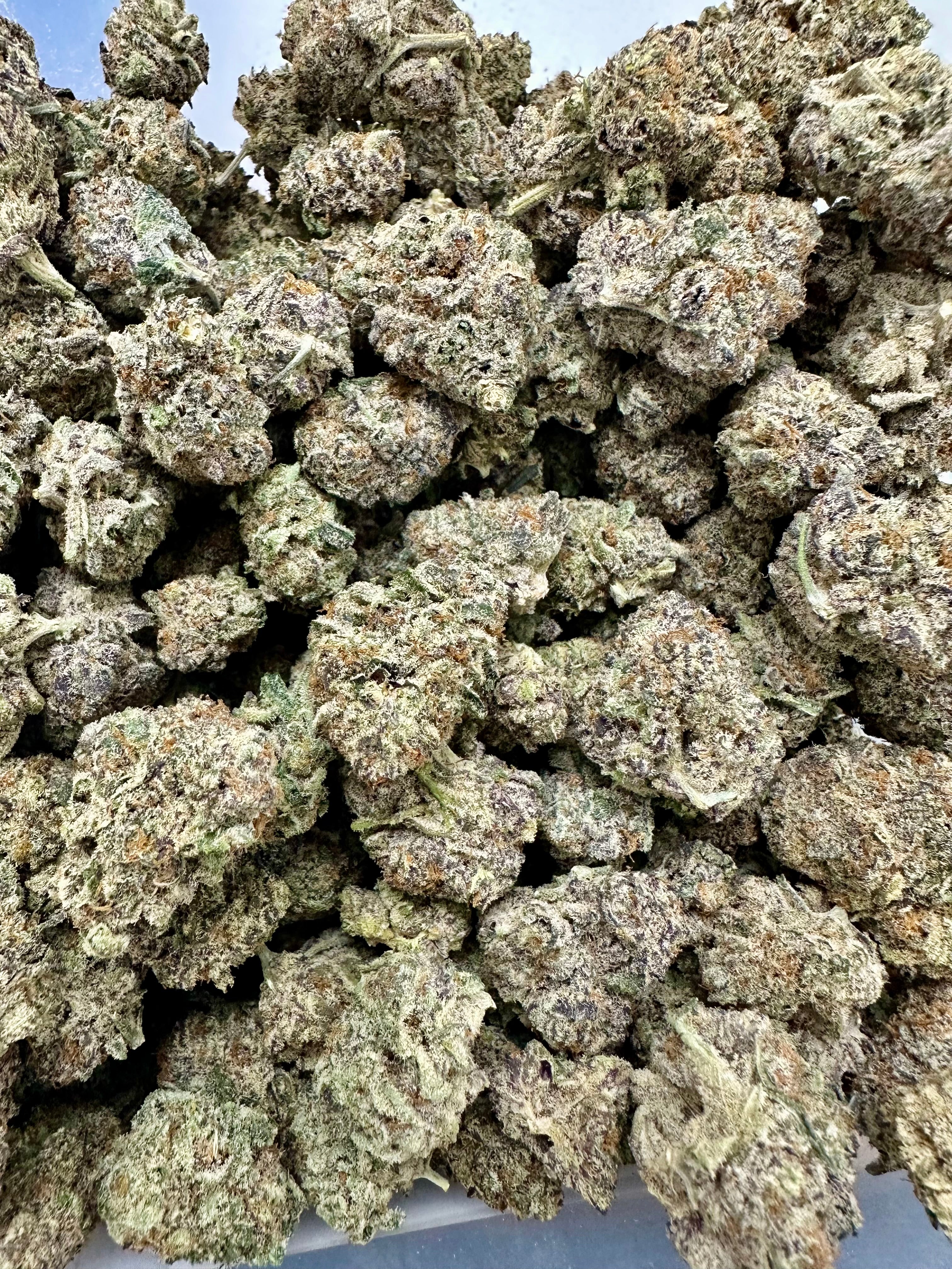 Black Truffle THCa Flower Exotic Indoor Indica Strain 10g Jar