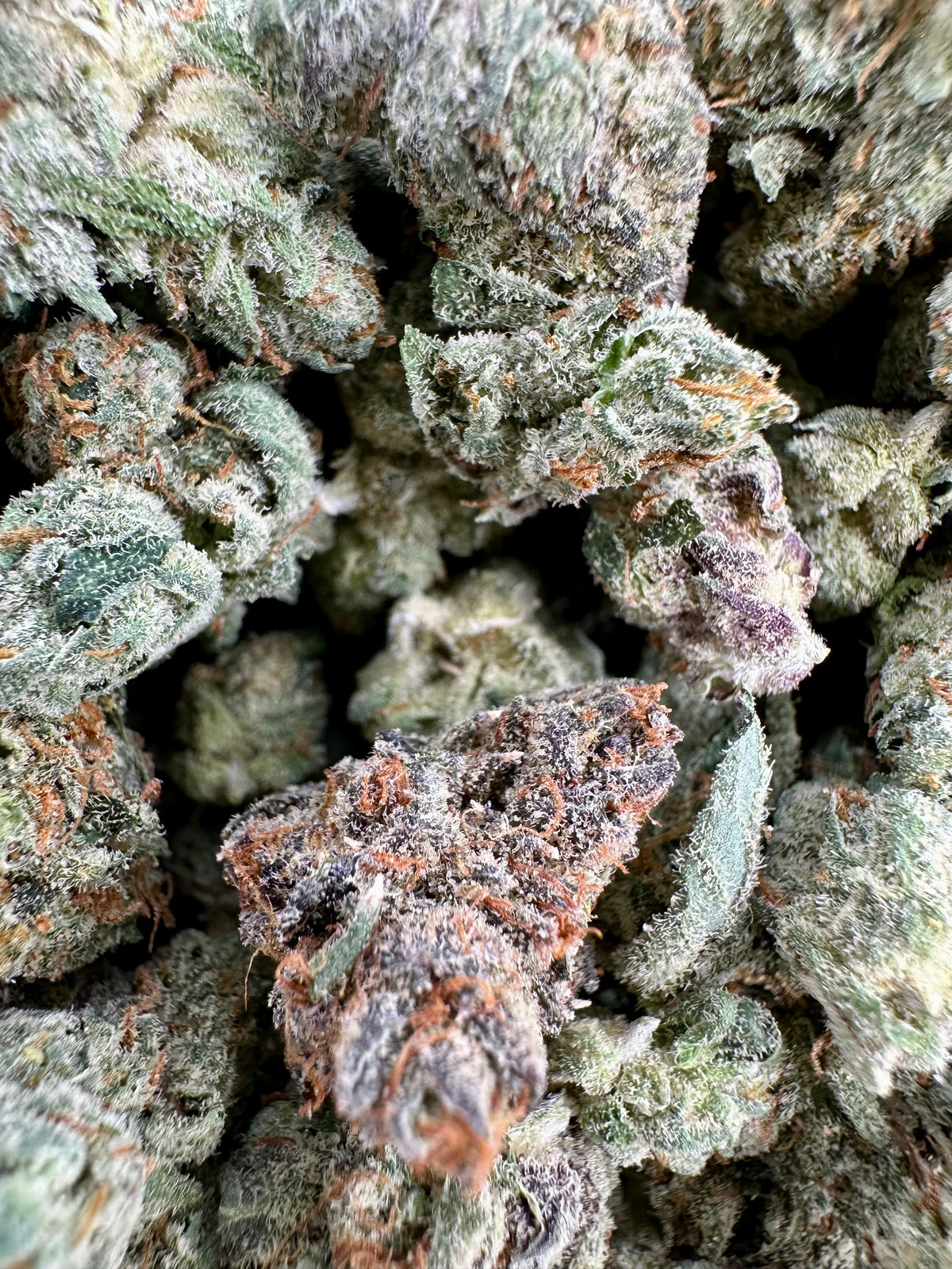 Banana Jealousy THCa Exotic Flower Hybrid 10g 4K