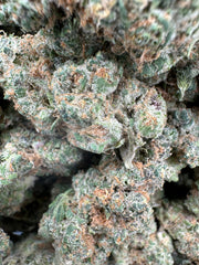 Chocolate Truffle Exotic THCA Flower Sativa 🔴