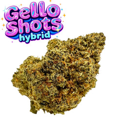 Gello Shots Exotic THCa Flower Hybrid 10g
