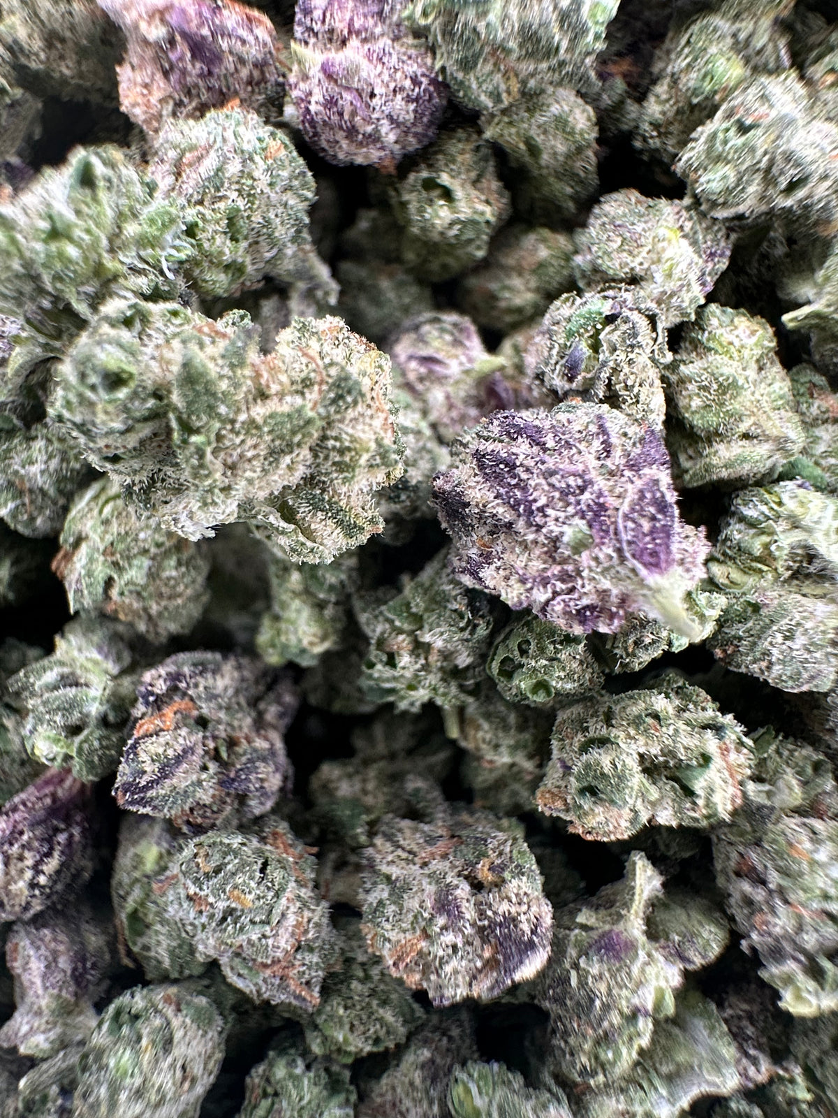 Presidential Runtz Exotic THCa Flower Hybrid Smalls 14g
