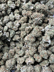 Pineapple Express THCa Flower Exotic Hybrid 10g