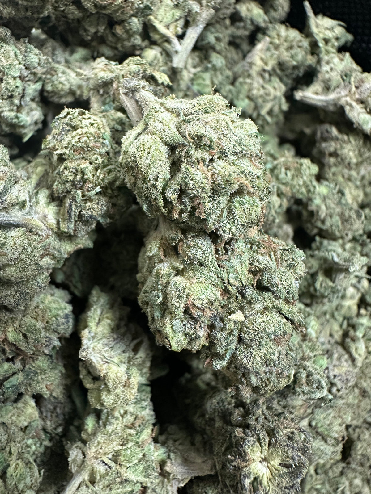 Zangria Exotic THCa Flower 10g 🟢 Hybrid