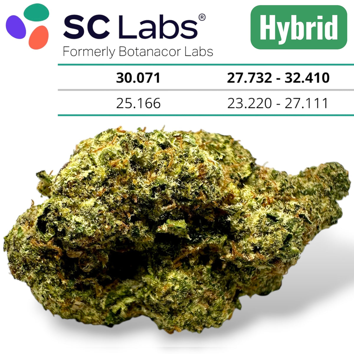 Presidental Runtz Exotic THCA Flower Hybrid 10g