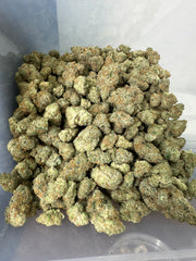 Lazeralus Exotic THCa Flower Sativa 10g