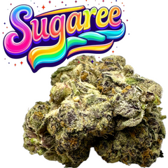 XL Sugaree Kush Exotic Sativa THCa Flower 10g Jar Hybrid 32%