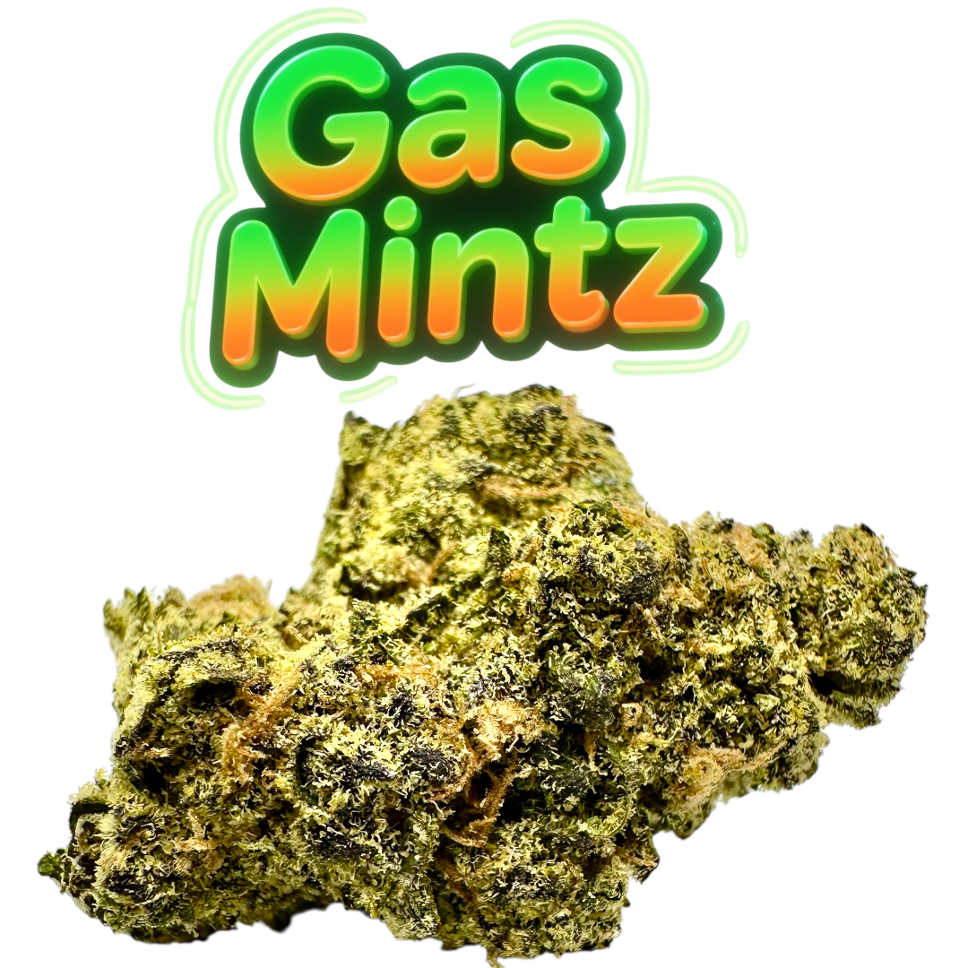 Exotic THCA Flower GAS MINTZ Hybrid OG Kush 10g Jar