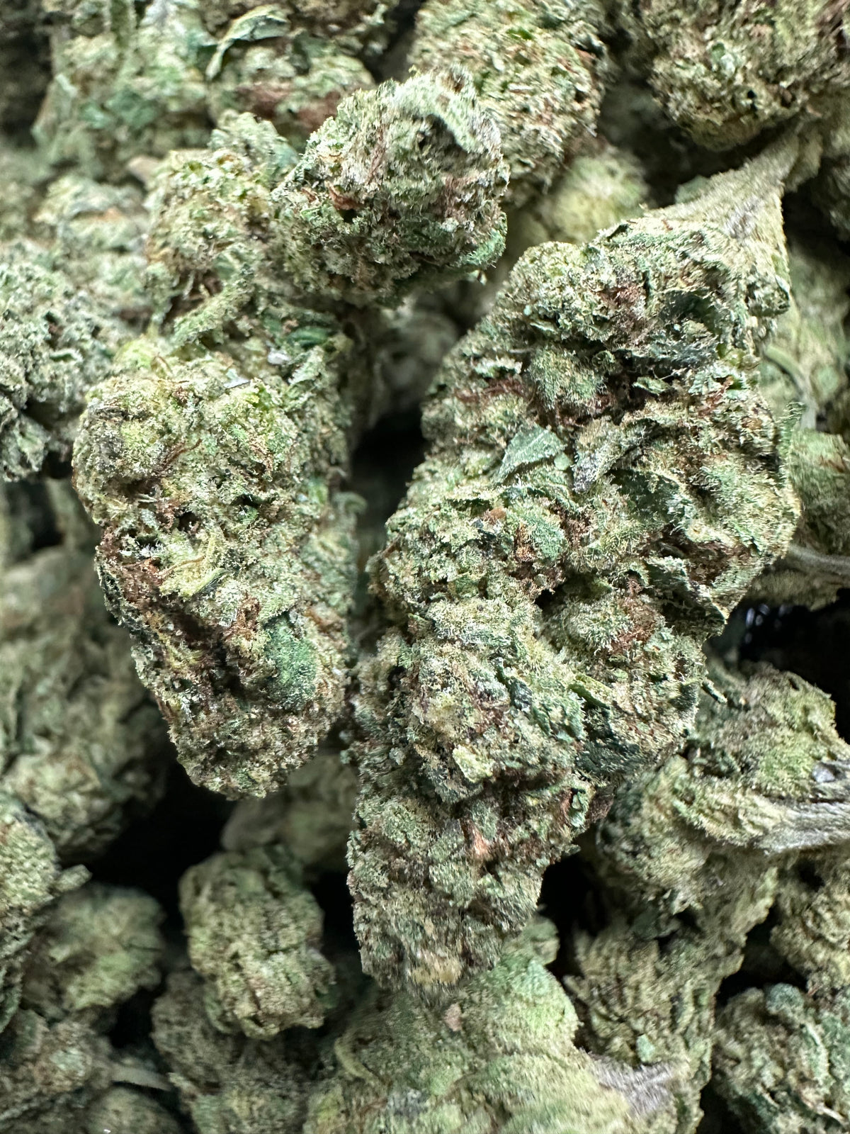 SubZero Exotic THCA Flower Sativa 10g Jar 🔴