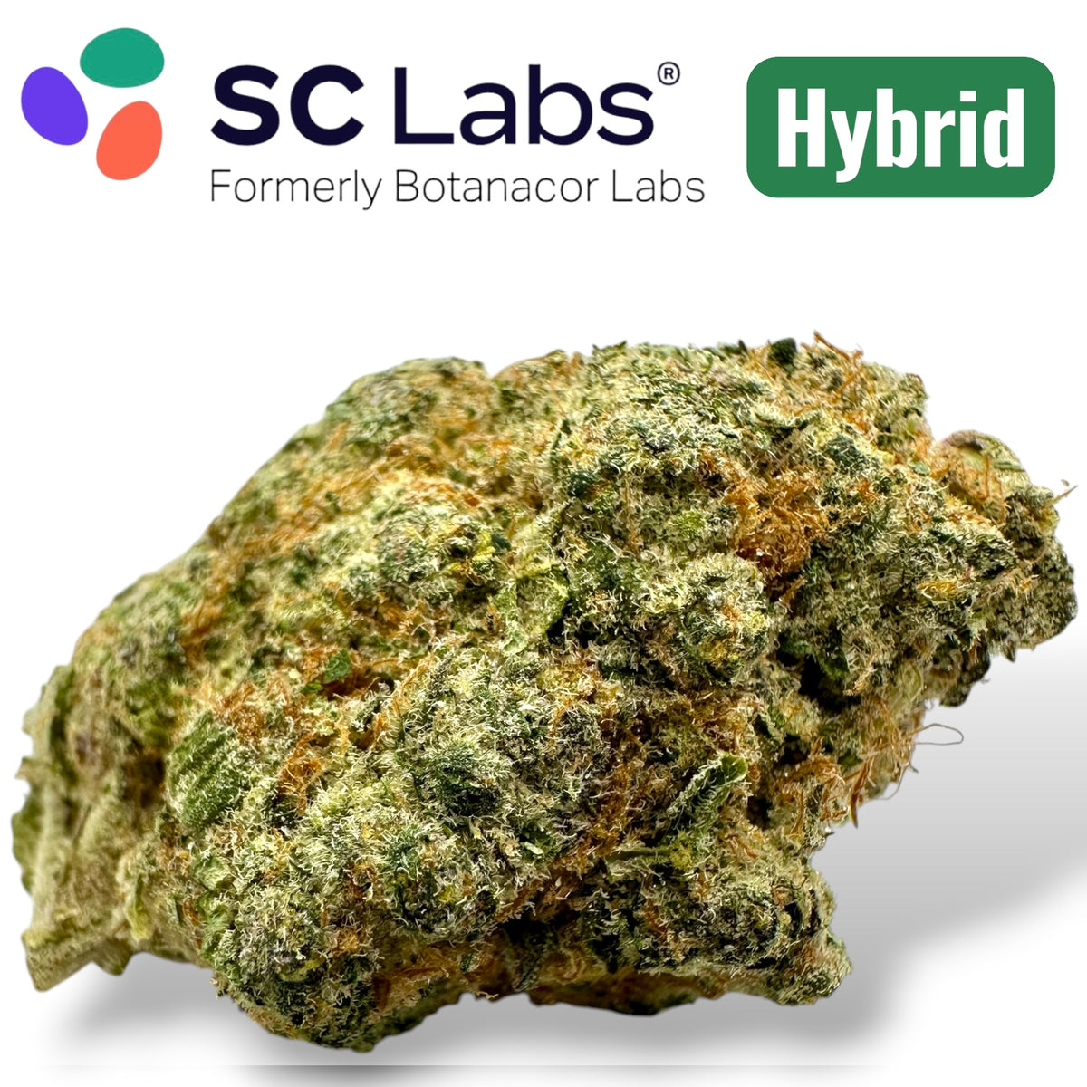 Galaxy Brain Exotic THCA Flower Hybrid 3.5g