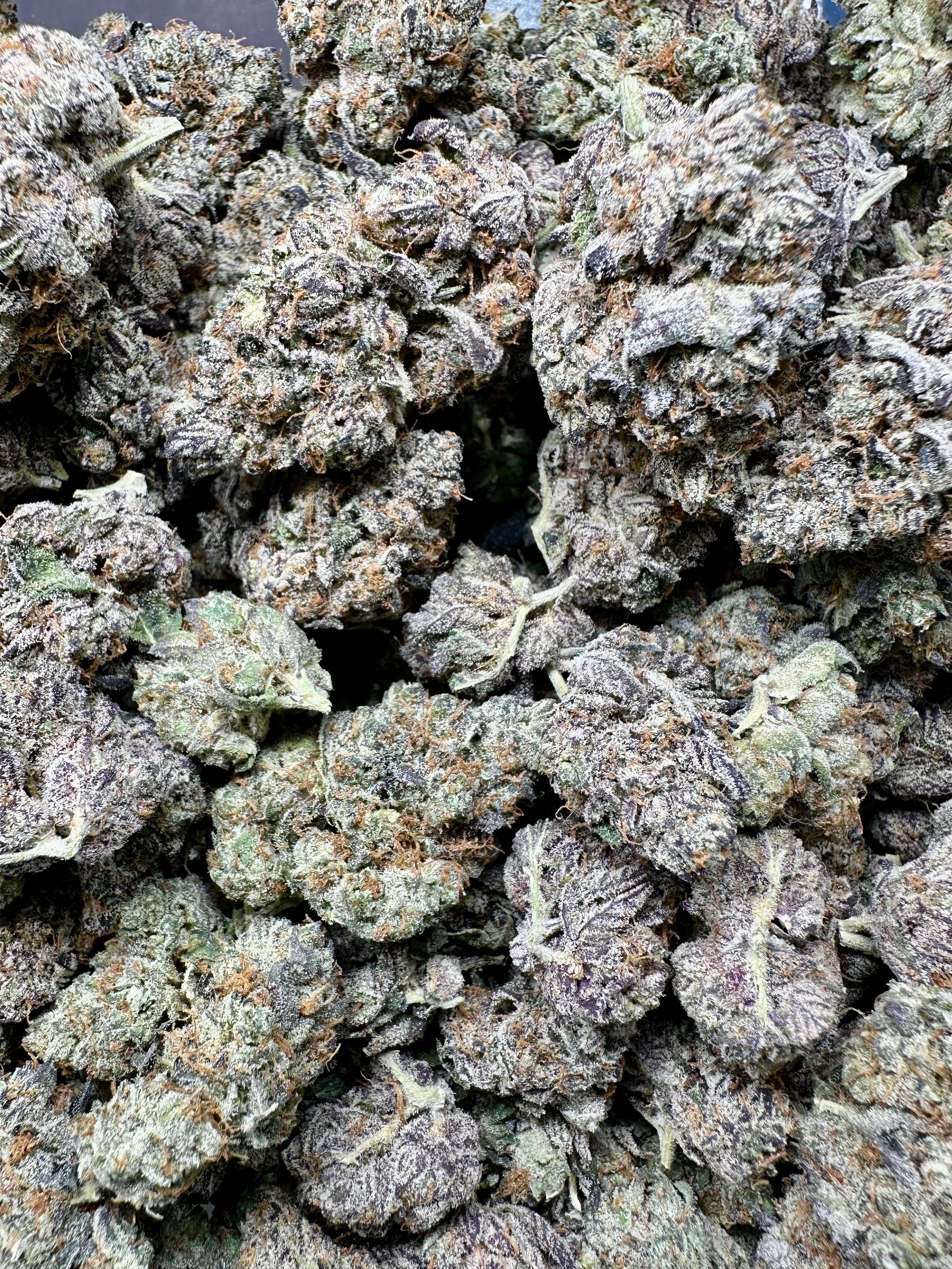 XL Hash Cake Exotic Indica THCa Flower 10g Jar 29%