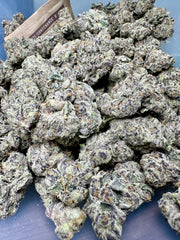 XL Sugaree Kush Exotic Sativa THCa Flower 10g Jar Hybrid 32%