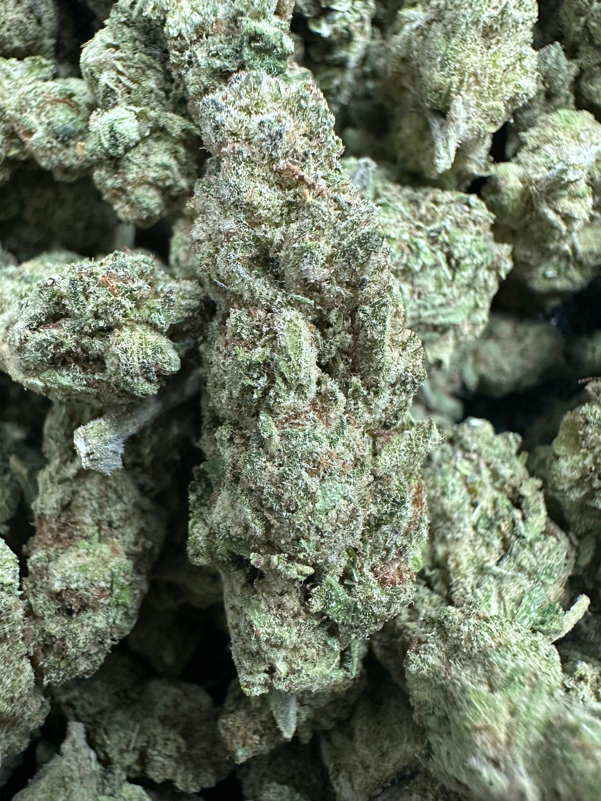 Gelonade Exotic THCa Flower Hybrid 10g 🟢