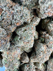 Tropic Miami Exotic THCA Flower Hybrid 🟢
