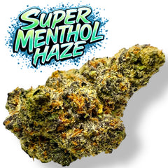 Super Menthol Haze THCa Flower 3.5g 🔴 Sativa