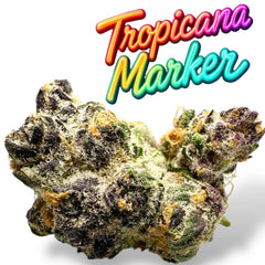Tropicana Marker Exotic THCa Flower 10g Jar Hybrid
