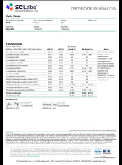Gello Shots Exotic THCa Flower Hybrid 10g