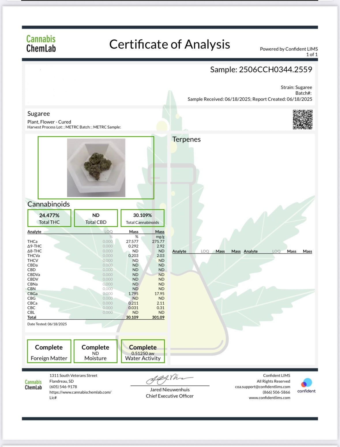 XL Sugaree Kush Exotic Sativa THCa Flower 10g Jar Hybrid 32%