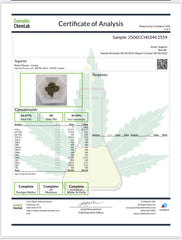 Sugaree Kush Exotic Sativa THCa Flower 10g Jar Hybrid 32% QP