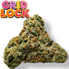 Grid Lock Exotic THCa Flower 10g Jar Indica