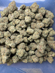 Crumb Dumpster Exotic THCa Flower Hybrid 10g