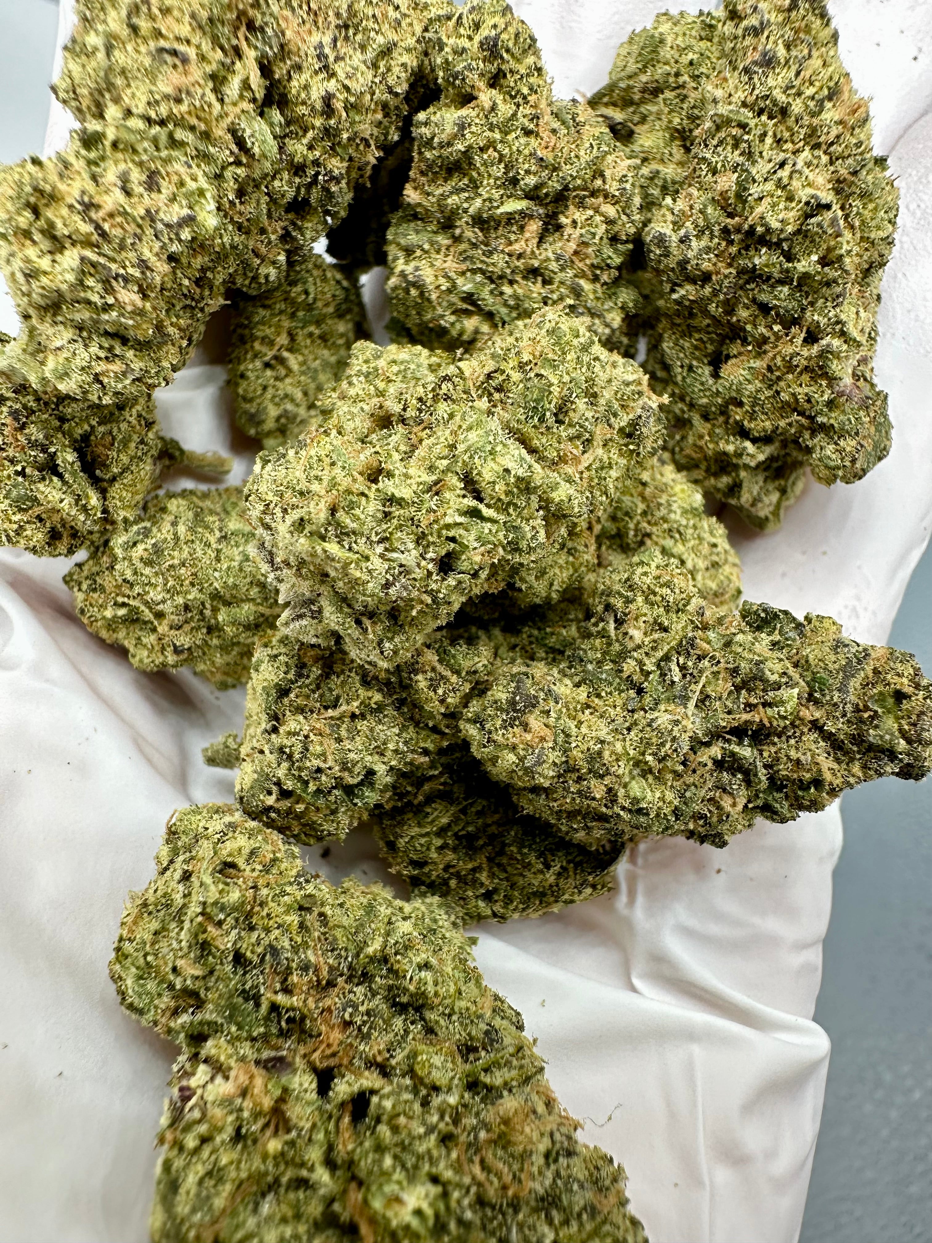 Exotic THCA Flower GAS MINTZ Hybrid OG Kush 10g Jar