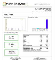 Blue Dream THCa Flower Exotic Sativa 10g