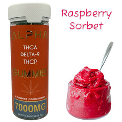 Alpha 7000mg THC Raspberry Sorbet THCA THCP D9 Gummies 20 Count